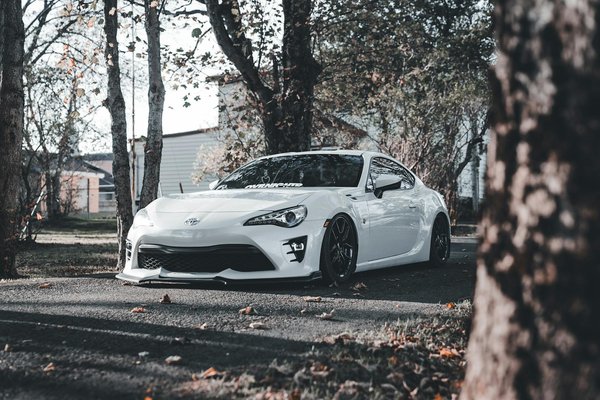 Sichere Haltung für Freigänger-Kaninchen: Wichtige Tipps und Vorsichtsmaßnahmen!